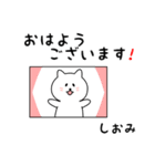 しおみさん用しろねこ（個別スタンプ：13）