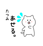 たつみさん用しろねこ（個別スタンプ：27）