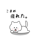 こまめさん用しろねこ（個別スタンプ：26）