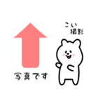 こい用 シロクマしろたん（個別スタンプ：34）