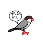 ブンブン文鳥さん（個別スタンプ：7）