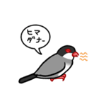 ブンブン文鳥さん（個別スタンプ：20）