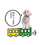 白い犬の冬（個別スタンプ：18）