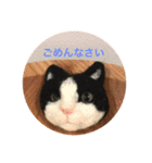 Horivish's cat stickers（個別スタンプ：4）