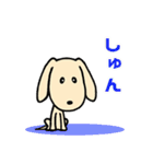 わんこパート3（個別スタンプ：25）