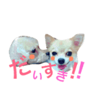 私の愛犬（個別スタンプ：4）