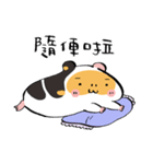 USAGILLA- the lazy guinea pig（個別スタンプ：12）