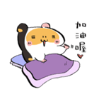 USAGILLA- the lazy guinea pig（個別スタンプ：31）