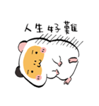 USAGILLA- the lazy guinea pig（個別スタンプ：39）