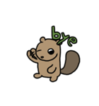 The squirrel squirrelchan（個別スタンプ：24）