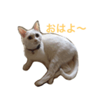 メイちゃん！（個別スタンプ：2）