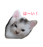 メイちゃん！（個別スタンプ：3）