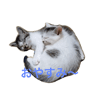 メイちゃん！（個別スタンプ：4）