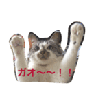 メイちゃん！（個別スタンプ：7）