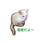 メイちゃん！（個別スタンプ：8）