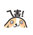 Geng wan wan dog（個別スタンプ：2）