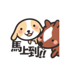 Geng wan wan dog（個別スタンプ：12）