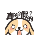 Geng wan wan dog（個別スタンプ：33）