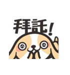 Geng wan wan dog（個別スタンプ：39）