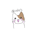 テキトーネコ（個別スタンプ：5）