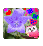 Flowers -5[Chinese version]（個別スタンプ：1）