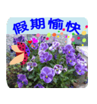 Flowers -5[Chinese version]（個別スタンプ：23）