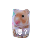 fat fat chu（個別スタンプ：1）