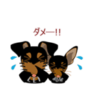 まめぴん321*れいくん＆ももくんver.（個別スタンプ：26）