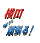 ★至高の名字！横田さん専用★（個別スタンプ：29）