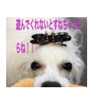 greeting from Pure Princess（個別スタンプ：3）