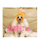 greeting from Pure Princess（個別スタンプ：4）