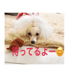 greeting from Pure Princess（個別スタンプ：7）