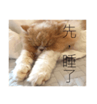 This is our time！ Yoyo ＆ Talo（個別スタンプ：4）
