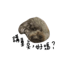 Duby puppy（個別スタンプ：6）