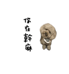 Duby puppy（個別スタンプ：7）