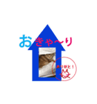 こばんちゃんスタンプ（個別スタンプ：6）