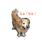 タクの日常。（個別スタンプ：2）