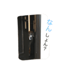 タクの日常。（個別スタンプ：6）