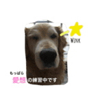 タクの日常。（個別スタンプ：10）