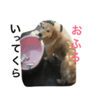 タクの日常。（個別スタンプ：18）