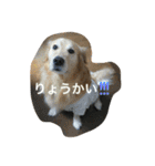 タクの日常。（個別スタンプ：27）
