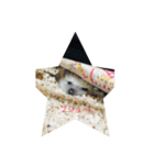 ハリネズミの生活（個別スタンプ：2）