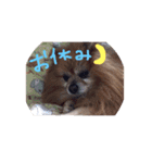 Penchaan（個別スタンプ：2）