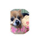 Penchaan（個別スタンプ：3）