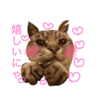 LEOにゃんのEVERYDAY（個別スタンプ：6）