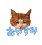 楽しげなたまみ（個別スタンプ：2）