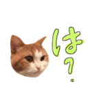 楽しげなたまみ（個別スタンプ：8）