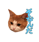 楽しげなたまみ（個別スタンプ：10）