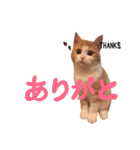 楽しげなたまみ（個別スタンプ：13）