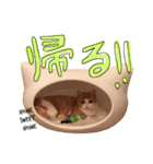 楽しげなたまみ（個別スタンプ：14）